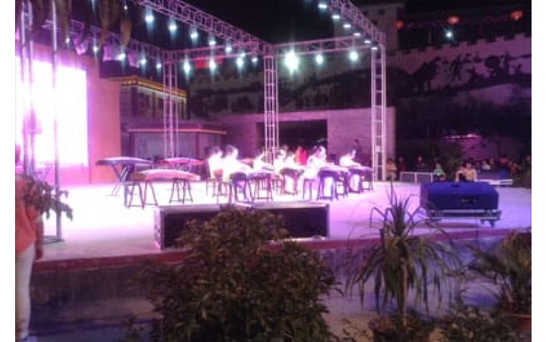 律動青春 放飛夢想 敦煌陳思思古箏藝?！坝瓏鴳c”專場文藝演出