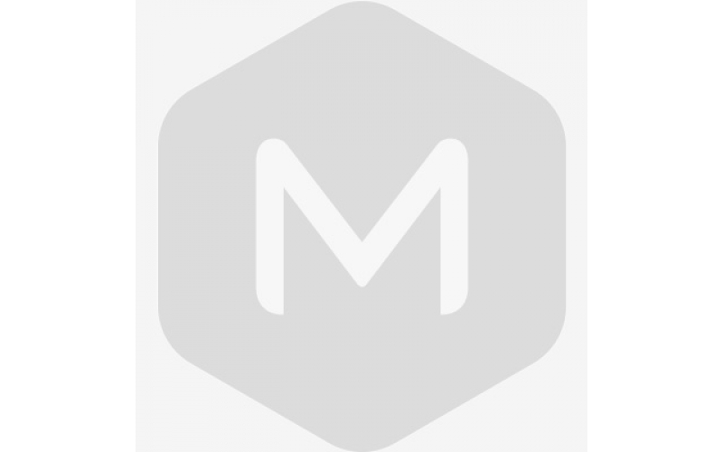 中國瓜州第七屆蜜瓜枸杞展銷會開幕