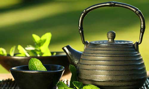 天長市新陽光小編帶您了解讓大腦更加發(fā)達的幾種飲品